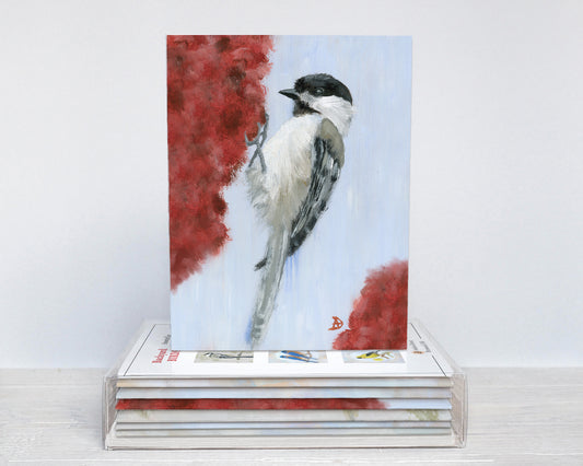 Backyard Birds Box Set (6 notecards)