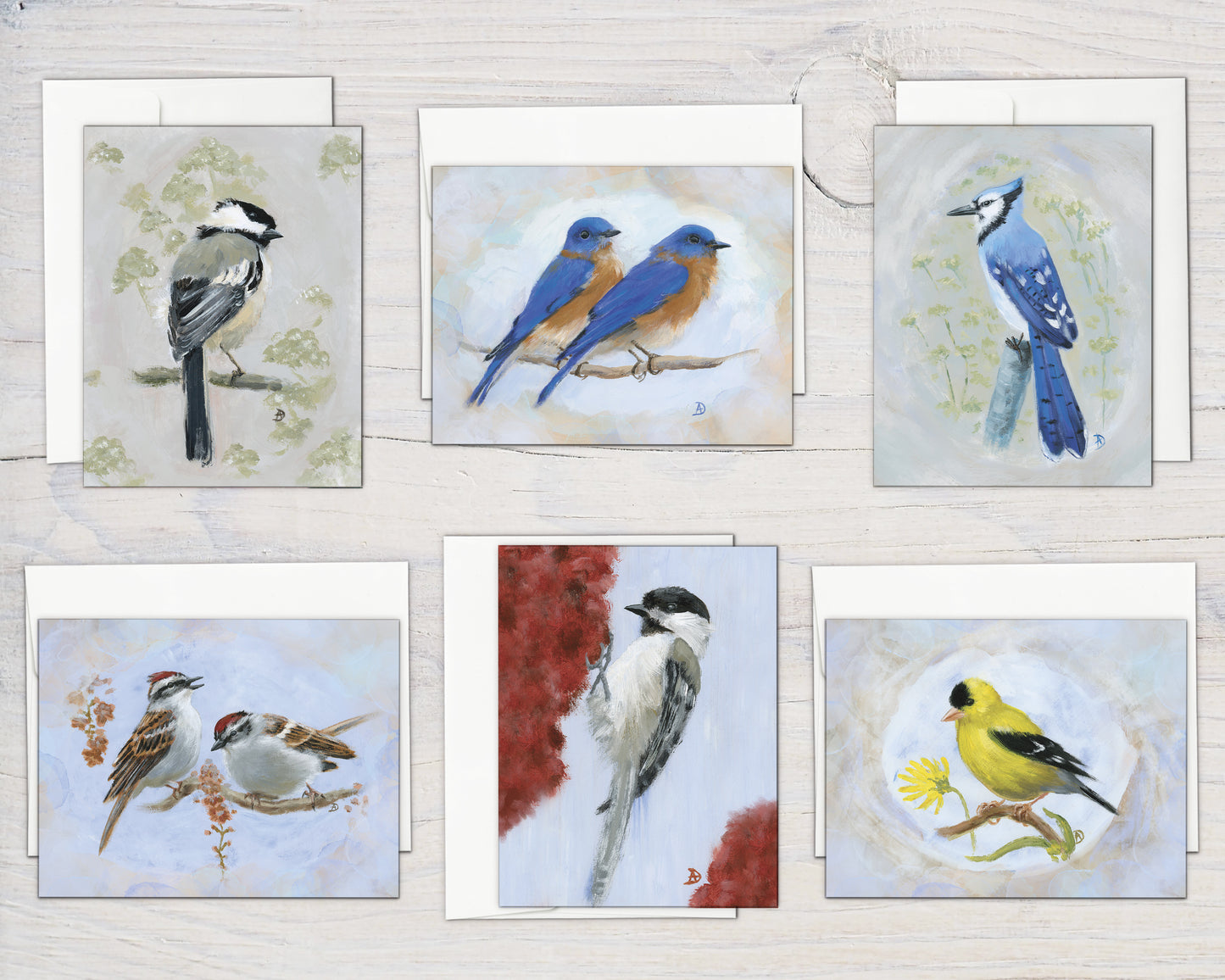 Backyard Birds Box Set (6 notecards)