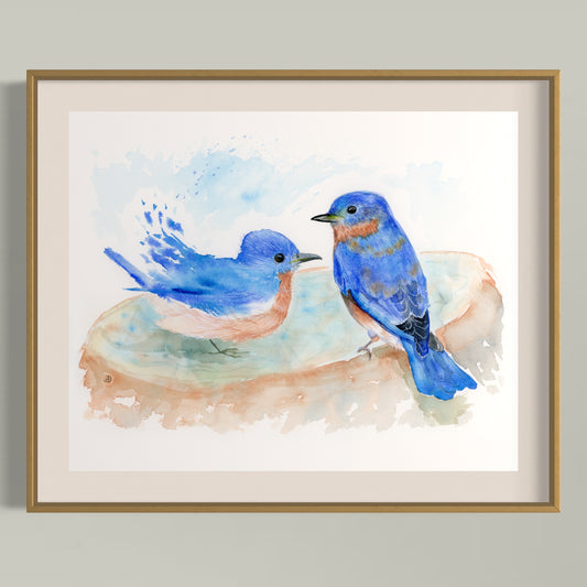 A Pair of Bluebirds at the Bird Bath - Art Print