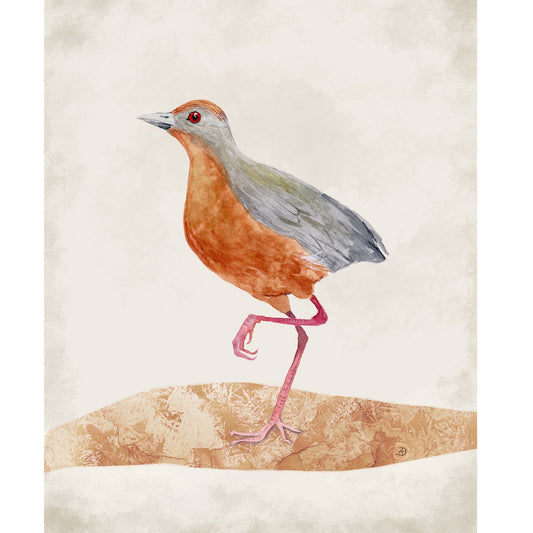 Russet Crown Crake Bird Art Print by Andreea Dumez