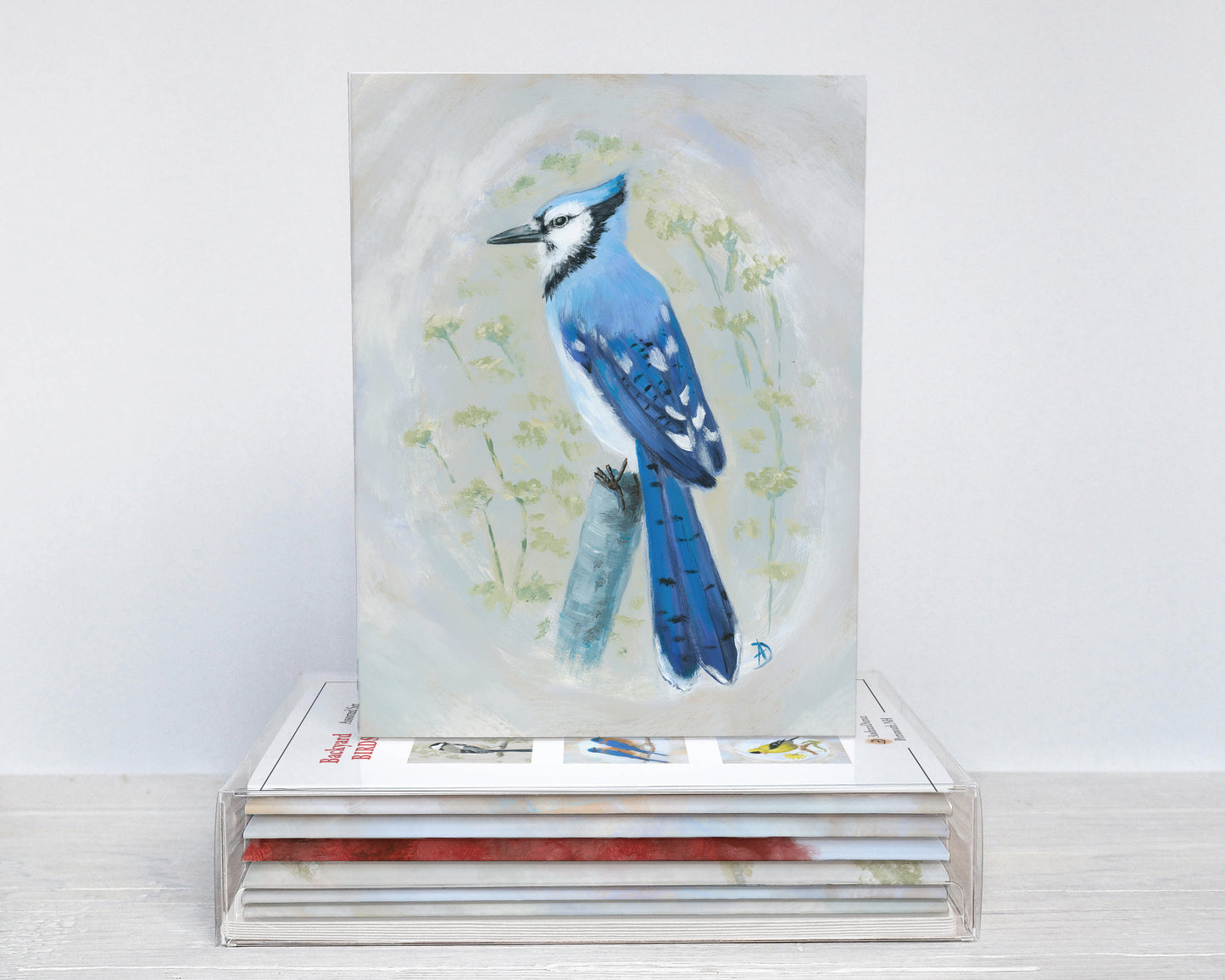 Backyard Birds Box Set (6 notecards)