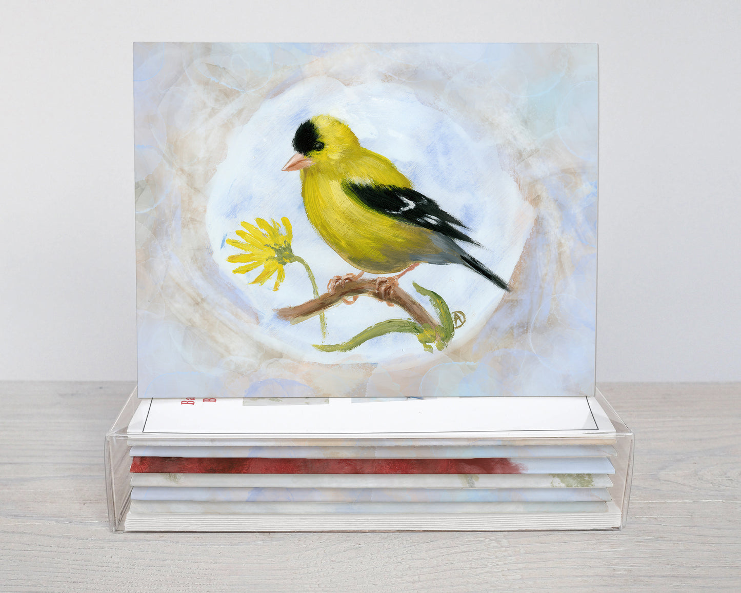 Backyard Birds Box Set (6 notecards)