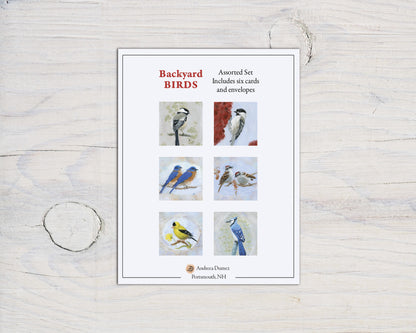 Backyard Birds Box Set (6 notecards)