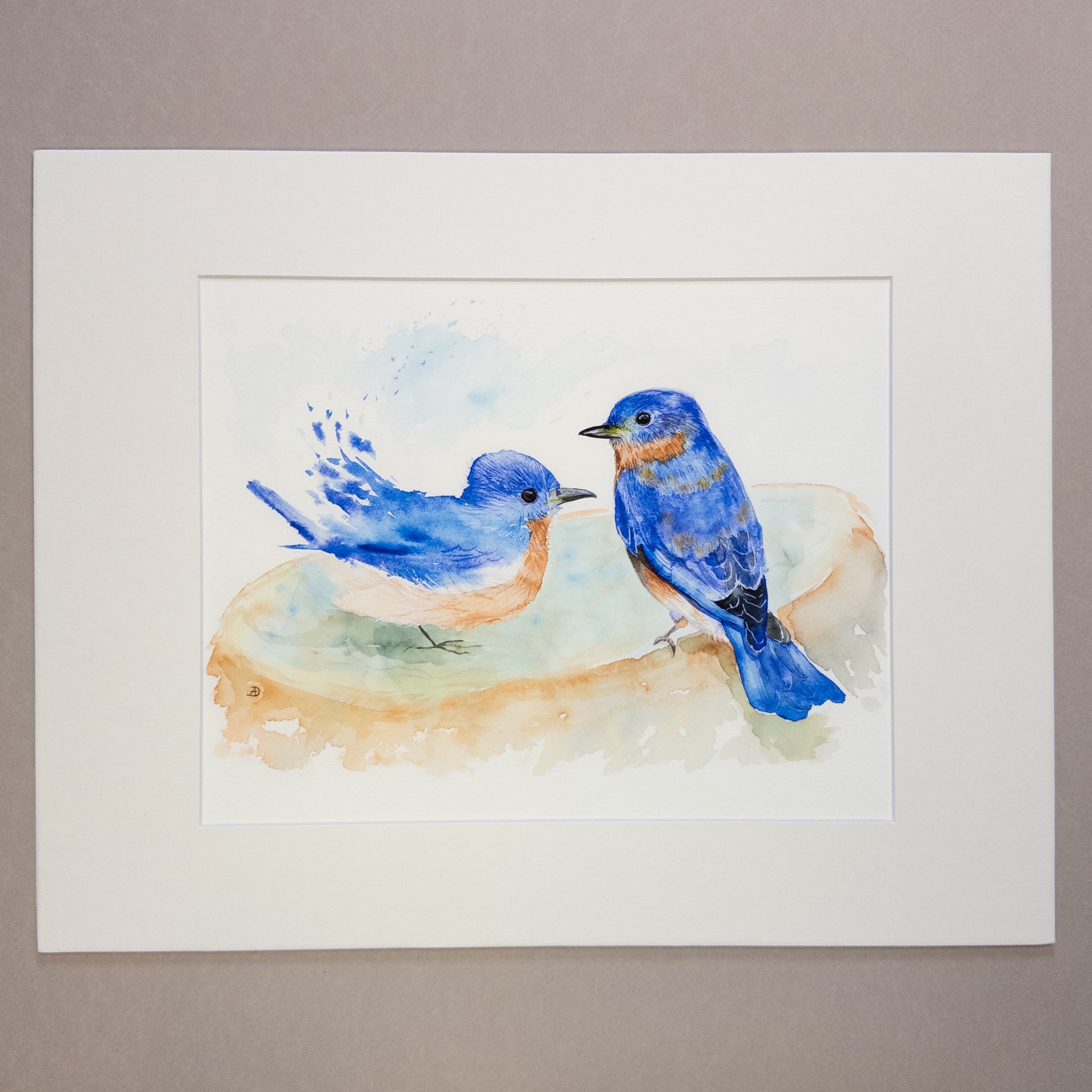 A pair of bluebirds at the bird bath - fine art print by Andreea Dumez