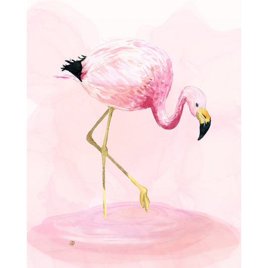 Andean Flamingo
