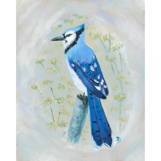 Blue Jay painting