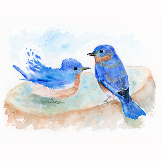 A Pair of Bluebirds at the Bird Bath - Art Print