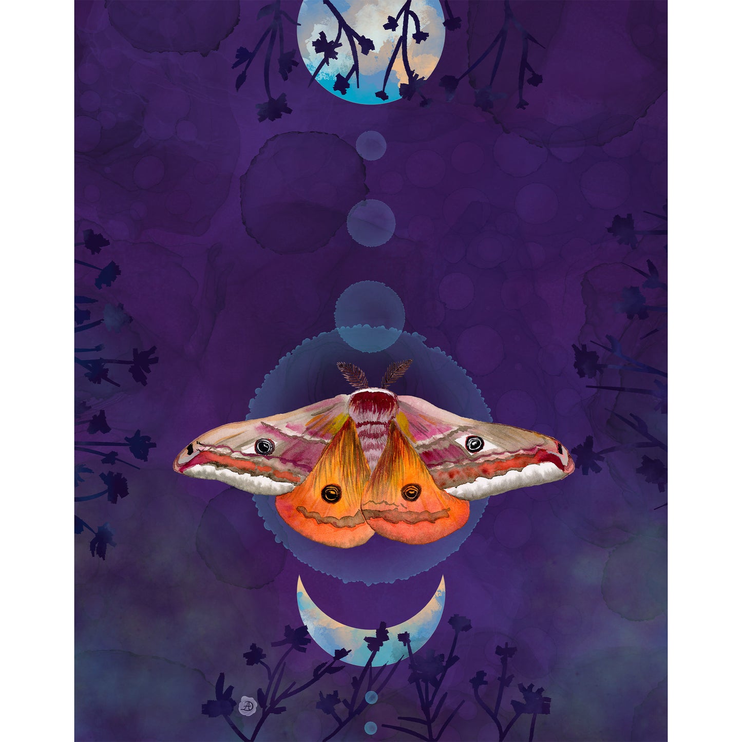 Emperor Moth in the Moonlit Forest - Art Print