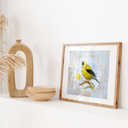 American Goldfinch Art Print