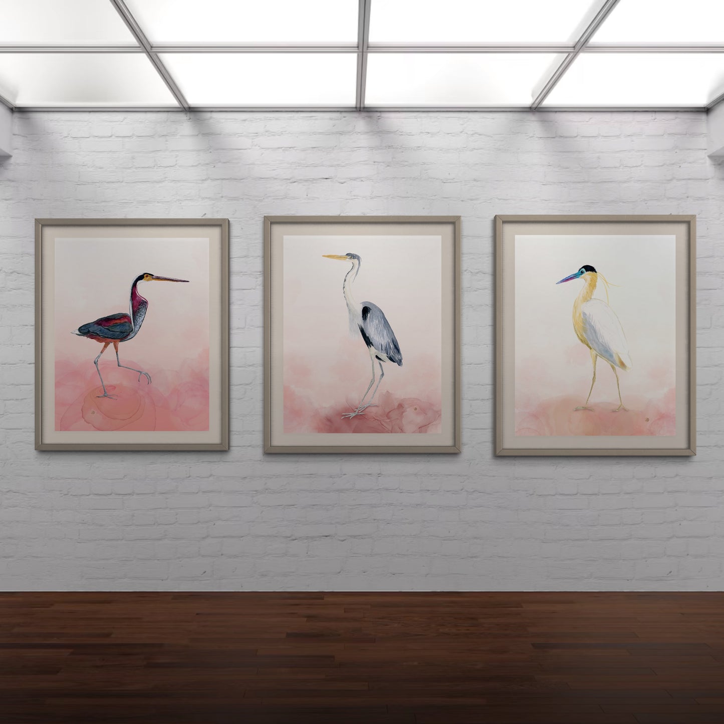 Herons - Set of 3 Art Prints