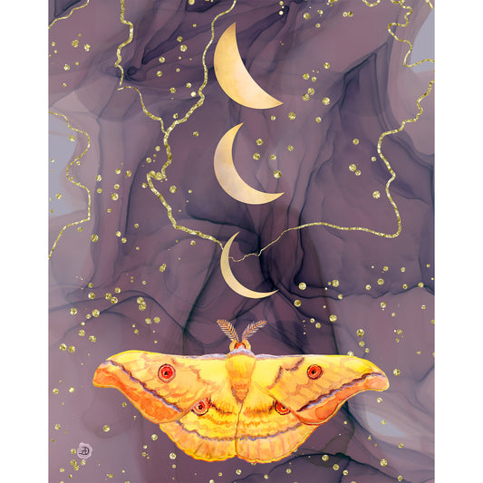 Japanese Silk Moth and the Golden Moons - Art Print