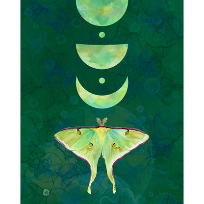Luna moth on an abstract green background, and crescent moons. 