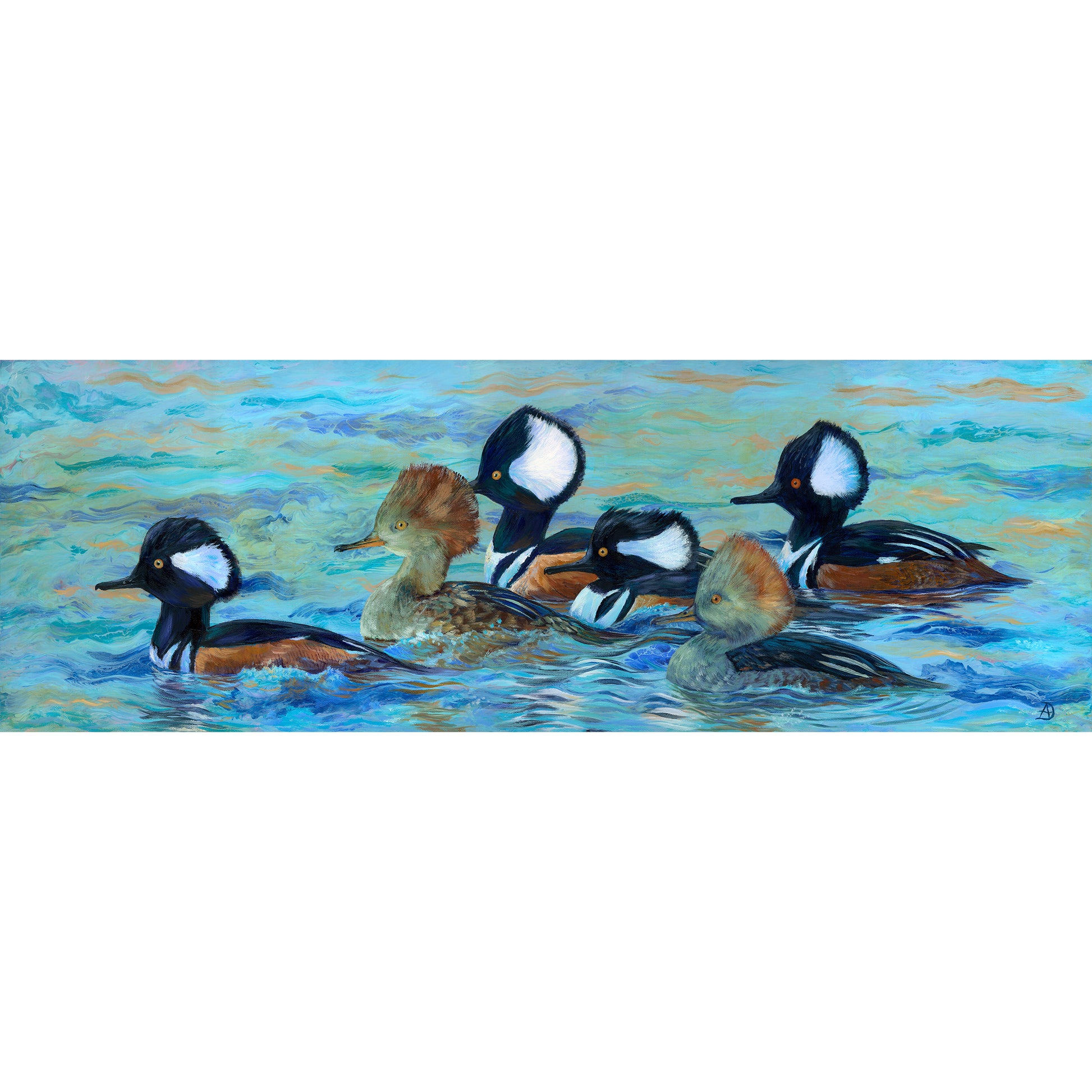 Hooded Merganser ducks swimming - painting