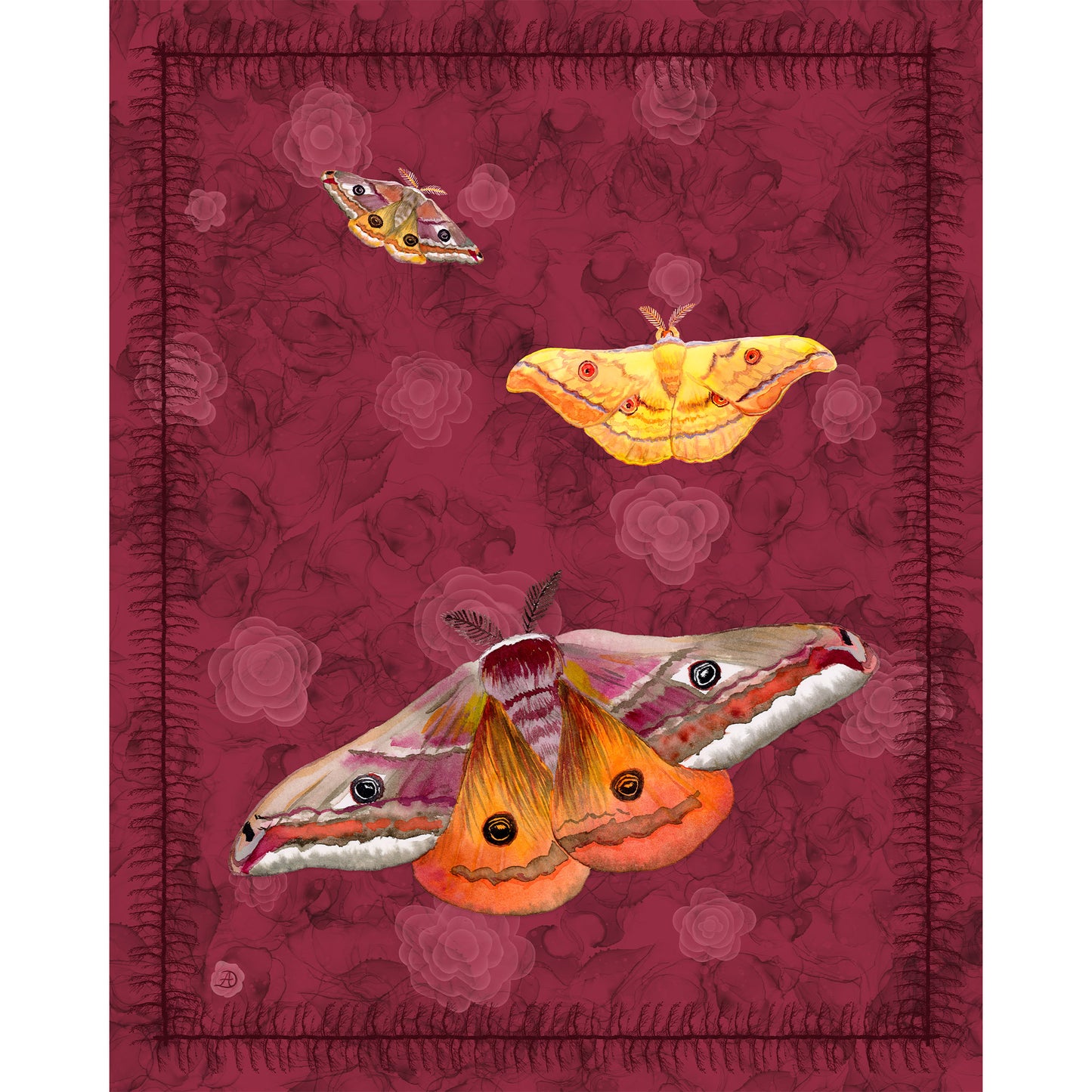 A rectangular art print featuring three illustrated moths on a deep burgundy background with a subtle floral pattern and stitched border.