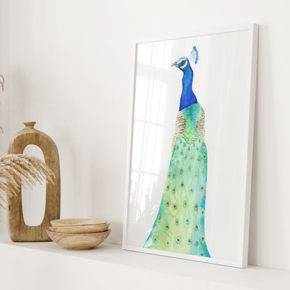 Peacock No2 - Art Print