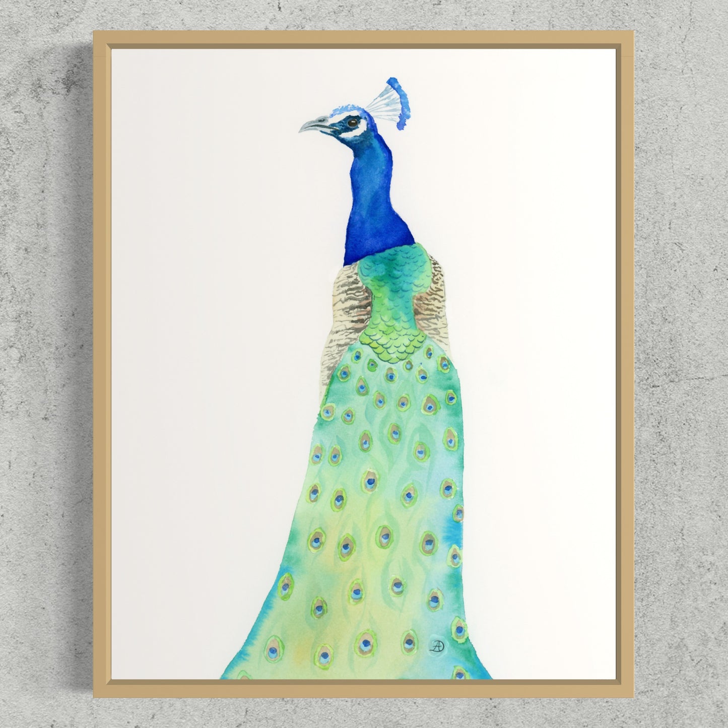 Peacock No2 - Art Print