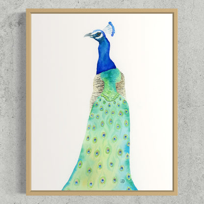 Peacock No2 - Art Print
