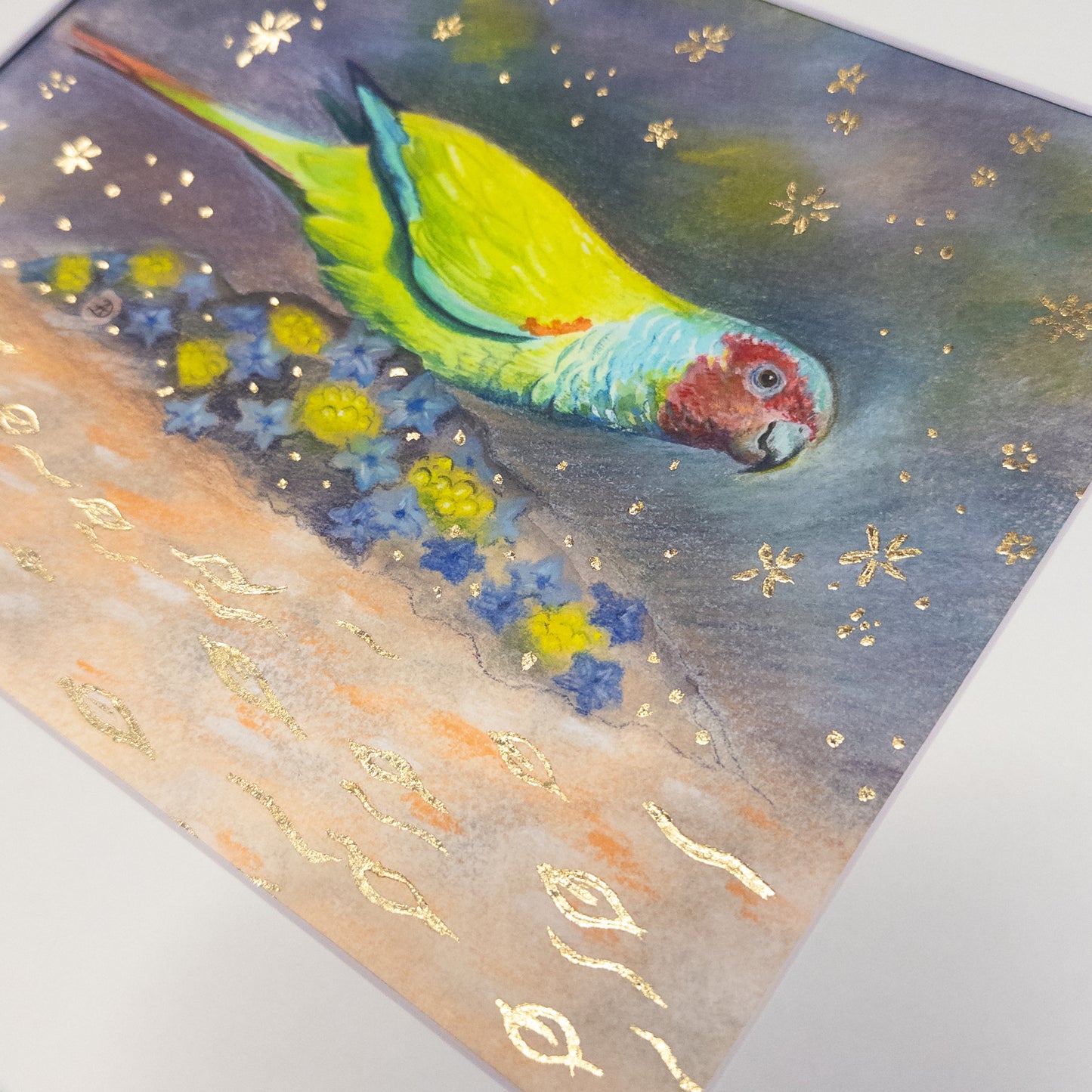 "Pfrimer's Parakeet" - art prints with gold leaf