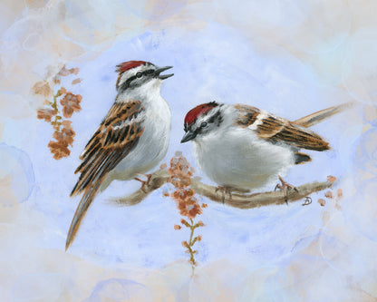 Chipping Sparrows - Matted Art Print