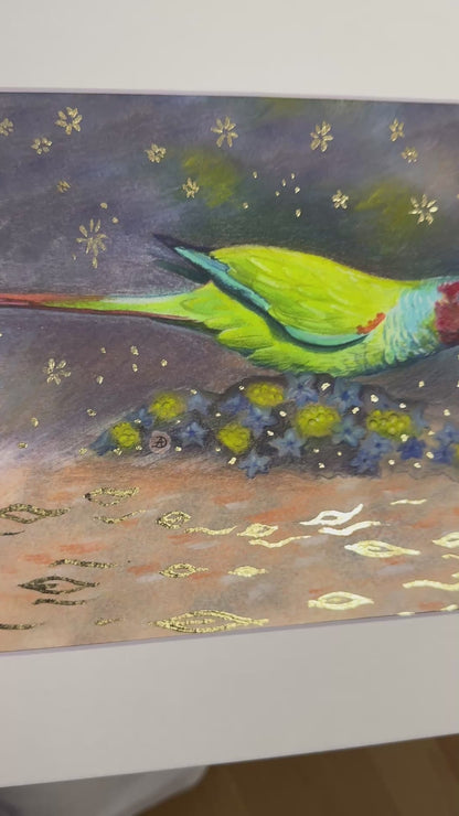 "Pfrimer's Parakeet" - art prints with gold leaf