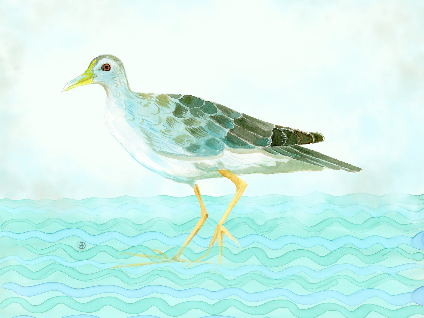 Azure Gallinule - Bird Art Print