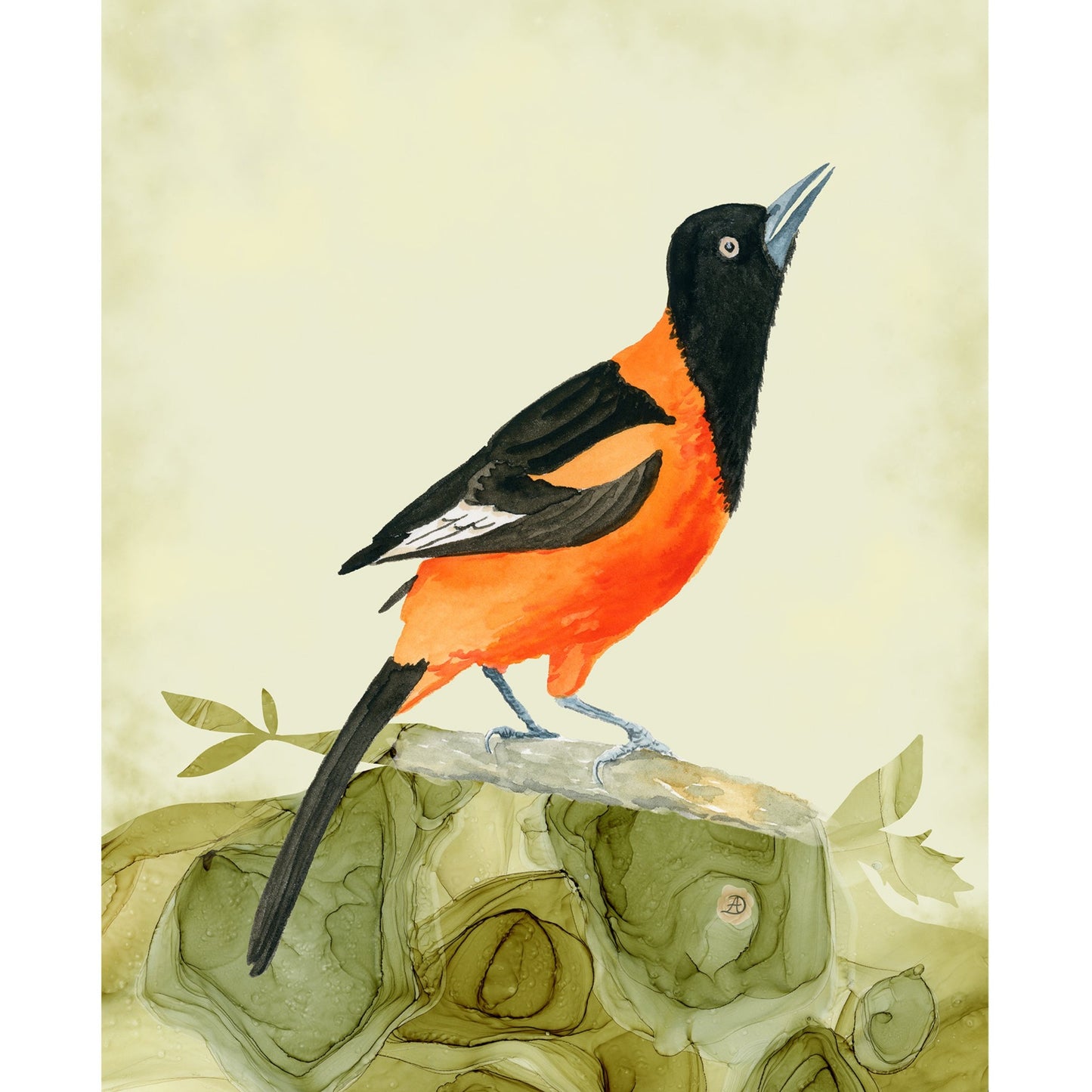 Campo Oriole Bird Art Print by Andreea Dumez