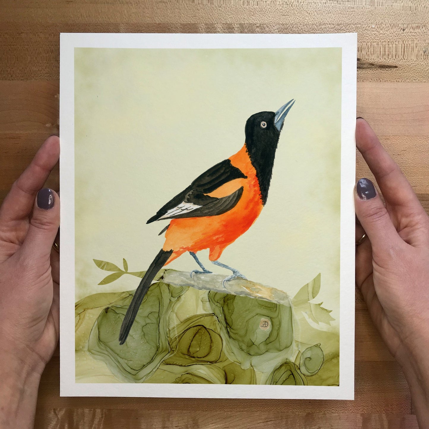 Campo Oriole Bird Art Print by Andreea Dumez