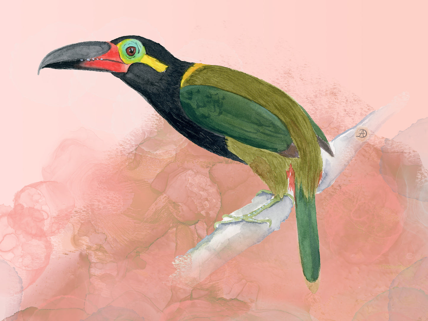 Pretty Guyana Toucanet