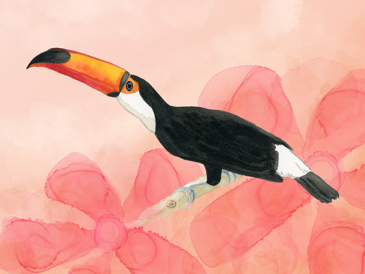 Toco Toucan watercolor art print