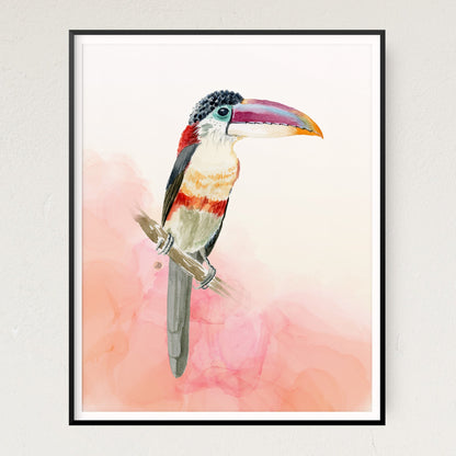Curl-crested Aracari Tropical Toucan Bird, a Watercolor Art Print