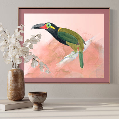 Pretty Guyana Toucanet
