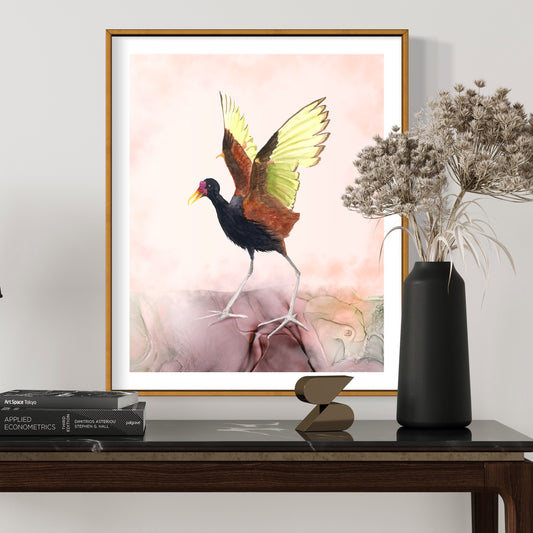 Wattled Jacana - Bird Art Print