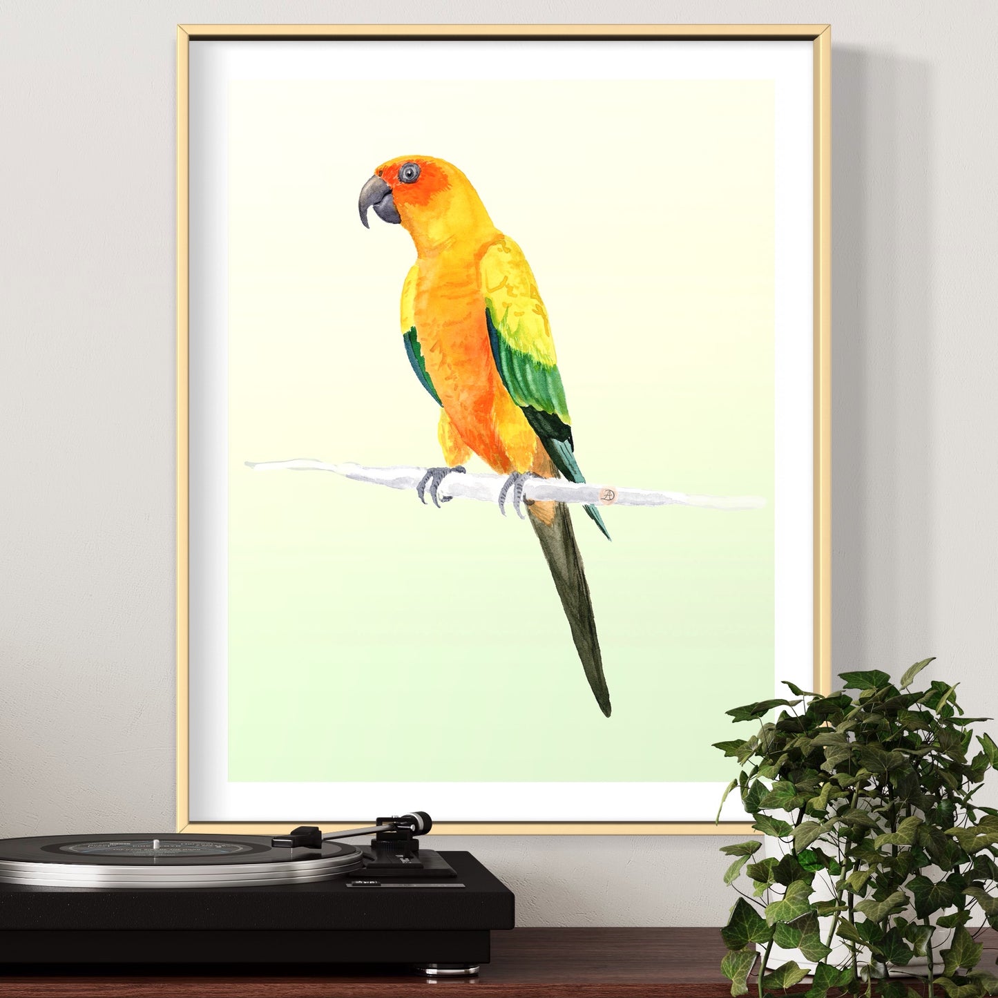 Sun Conure Parrot - Art Print
