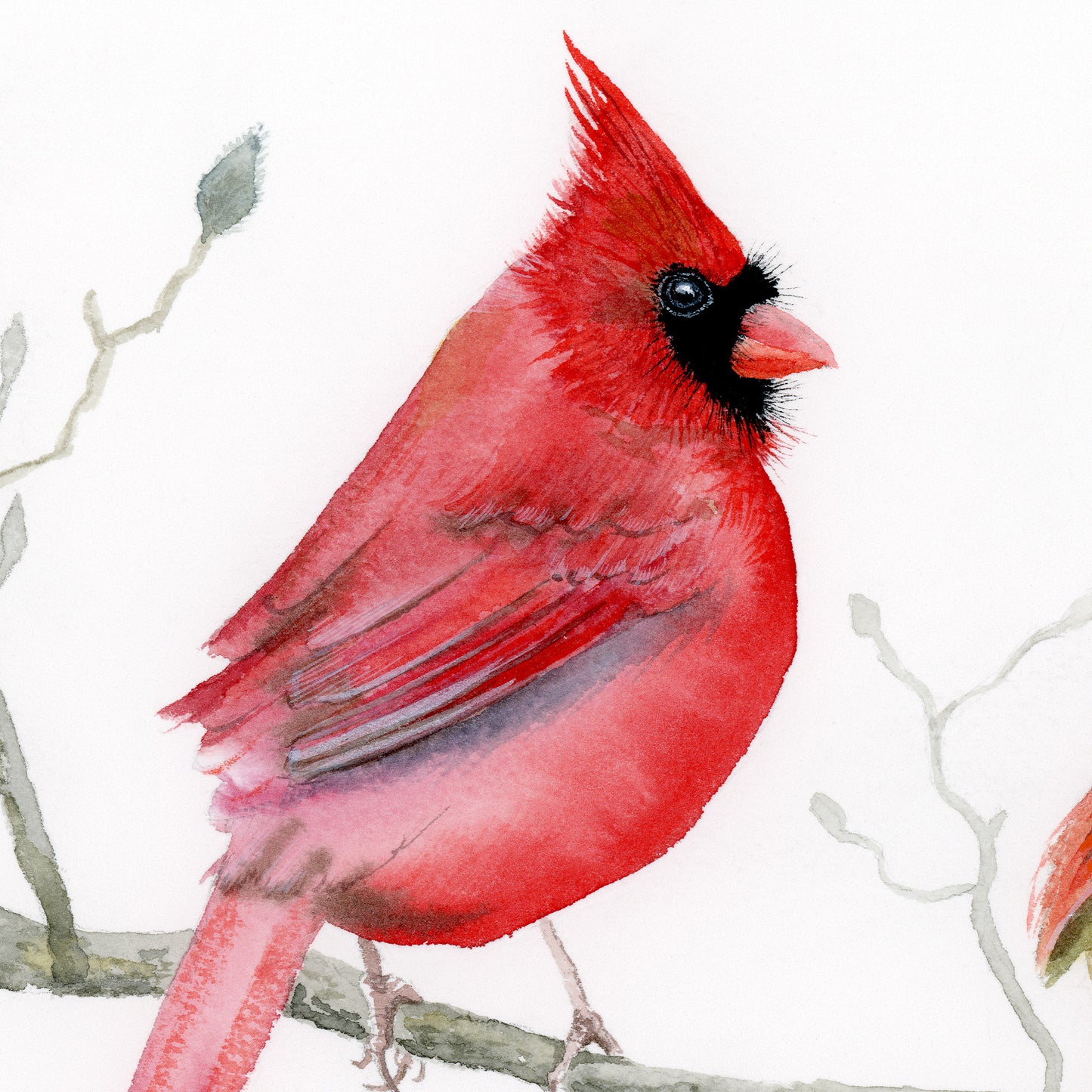 A Pair of Cardinals - Art Print