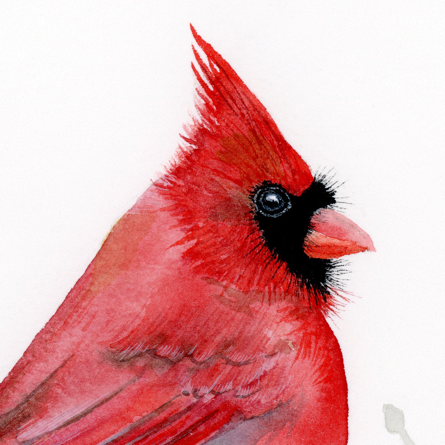 A Pair of Cardinals - Art Print