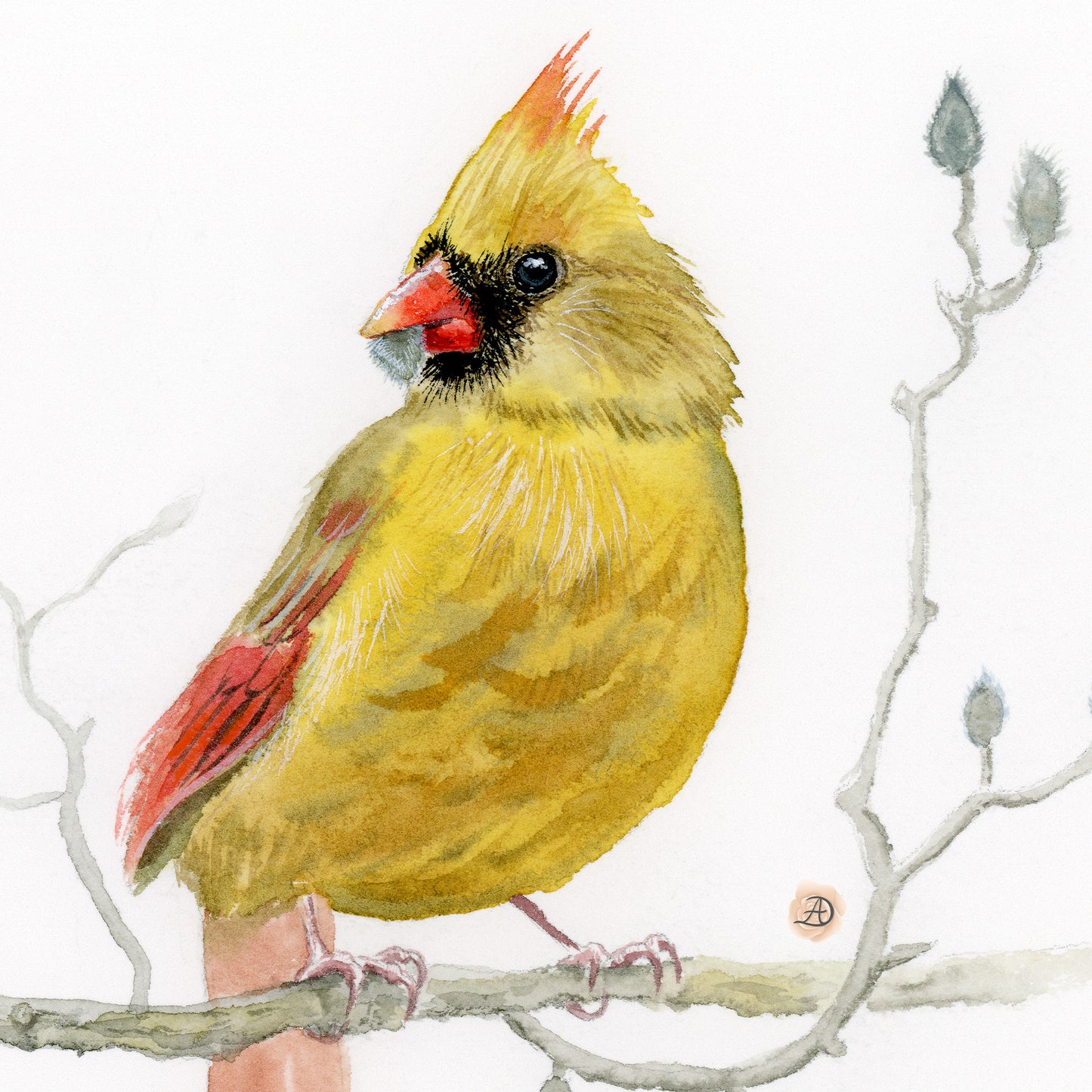 A Pair of Cardinals - Art Print